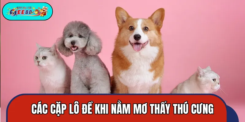 Gợi ý cặp số lô đề liên quan đến giấc mơ thấy thú cưng