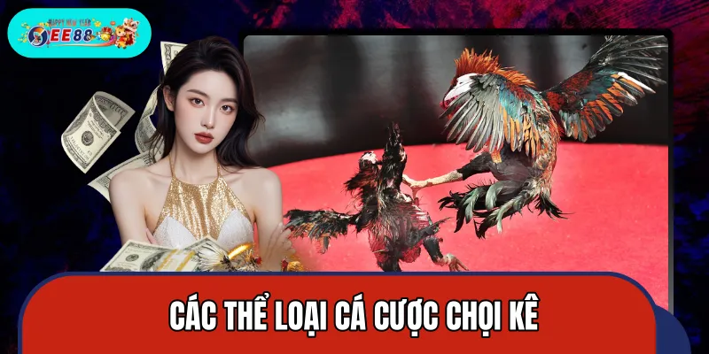 Top 4 loại hình chọi kê đang có nhiều người tham gia nhất Top 4 loại hình chọi kê đang có nhiều người tham gia nhất