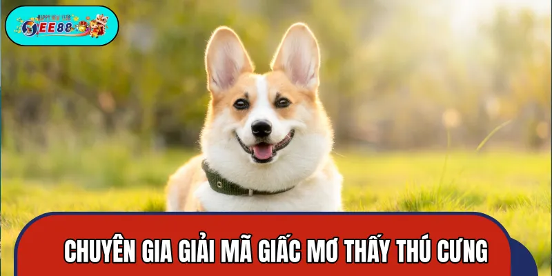 Giải mã từng tình huống nằm mơ thấy thú cưng