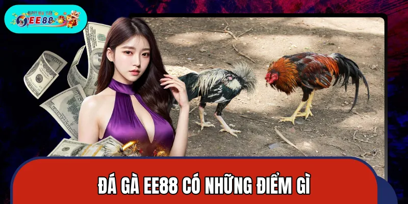 Sảnh đá gà hội tụ nhiều ưu điểm khiên người chơi yêu thích
