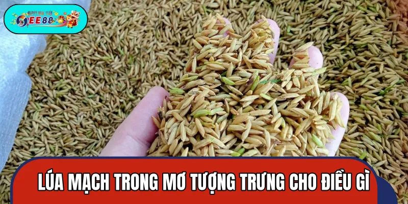 Lúa mạch ẩn chứa thông điệp về thịnh vượng Lúa mạch ẩn chứa thông điệp về thịnh vượng
