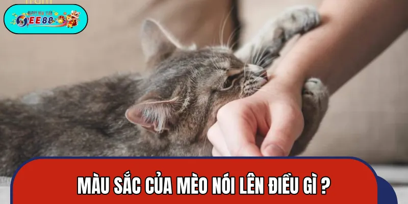 Phân tích qua 12 con giáp để hiểu rõ hơn về giấc ngủ Phân tích qua 12 con giáp để hiểu rõ hơn về giấc ngủ