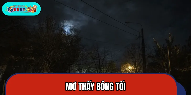 Mơ Thấy Bóng Tối: Ý Nghĩa Của Sự Sợ Hãi Và Mất Kiểm Soát