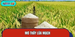 Mơ Thấy Lúa Mạch - Hé Lộ Điềm Lành Về Tài Vận Sắp Tới