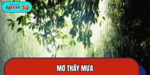 Mơ Thấy Mưa - Cơ Hội Sinh Lời Có 1-0-2 Không Nên Bỏ Lỡ