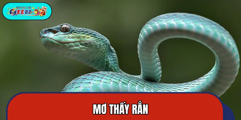 Mơ Thấy Rắn - Cơ Hội Trúng Lớn Giúp Bạn Đổi Đời Hôm Nay
