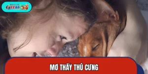 Mơ Thấy Thú Cưng: Liên Quan Đến Tình Bạn Hoặc Tình Yêu?