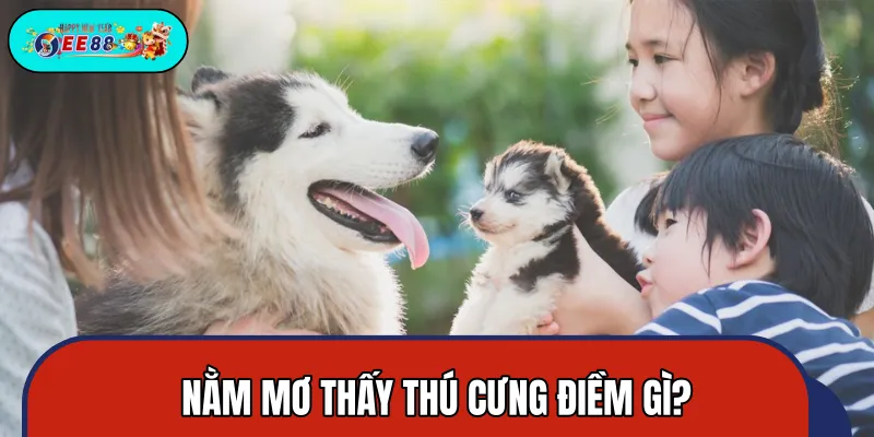 Giải mã điềm báo may mắn khi mơ thấy thú cưng