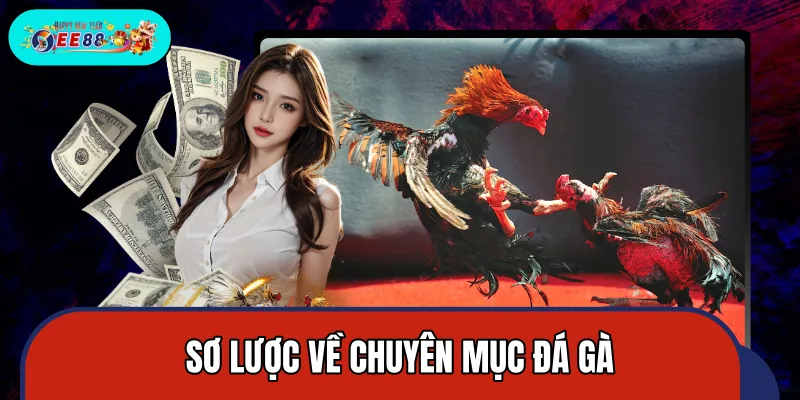 Thông tin cơ bản về mục đá gà hấp dẫn